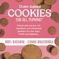 thumbnail image 2 of Himalayan Pet Supply Bacon Bites Dog Cookies 14 oz. Bag, 2 of 8