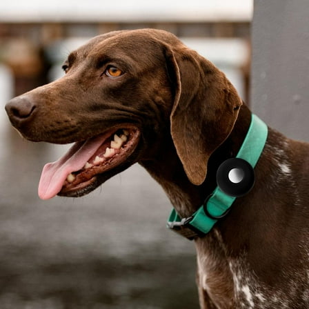 Supvox Silicone Pet Collar Holder Black Soft Comfortable Anti Lost Device Easy to Install