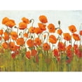 thumbnail image 2 of OToole, Tim 18x15 Gold Ornate Wood Framed with Double Matting Museum Art Print Titled - Rows of Poppies II, 2 of 4