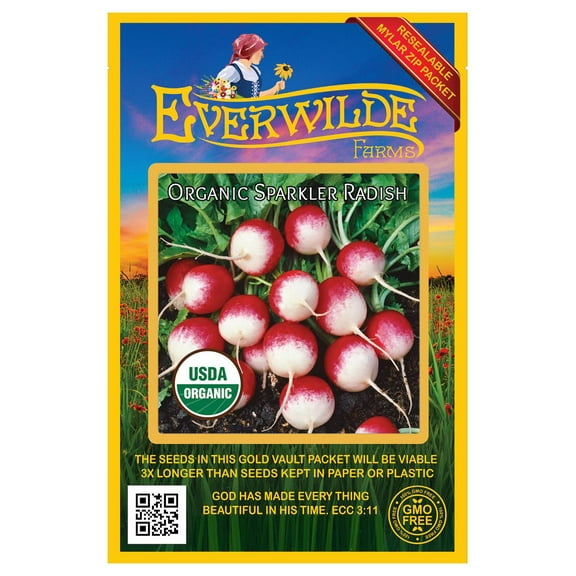 Everwilde Farms - 250 Organic Sparkler Radish Seeds - Gold Vault Jumbo Bulk Seed Packet