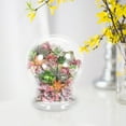 thumbnail image 3 of Transparent Ecological Bottle Glass Plant Dome Bottle Microlandscape Terrarium Glass Plant Container, 3 of 9