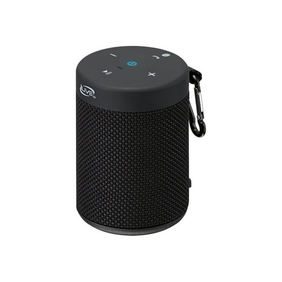 iLive ISBW108B - Haut-Parleur - pour Usage portable - Sans Fil - Bluetooth - Noir