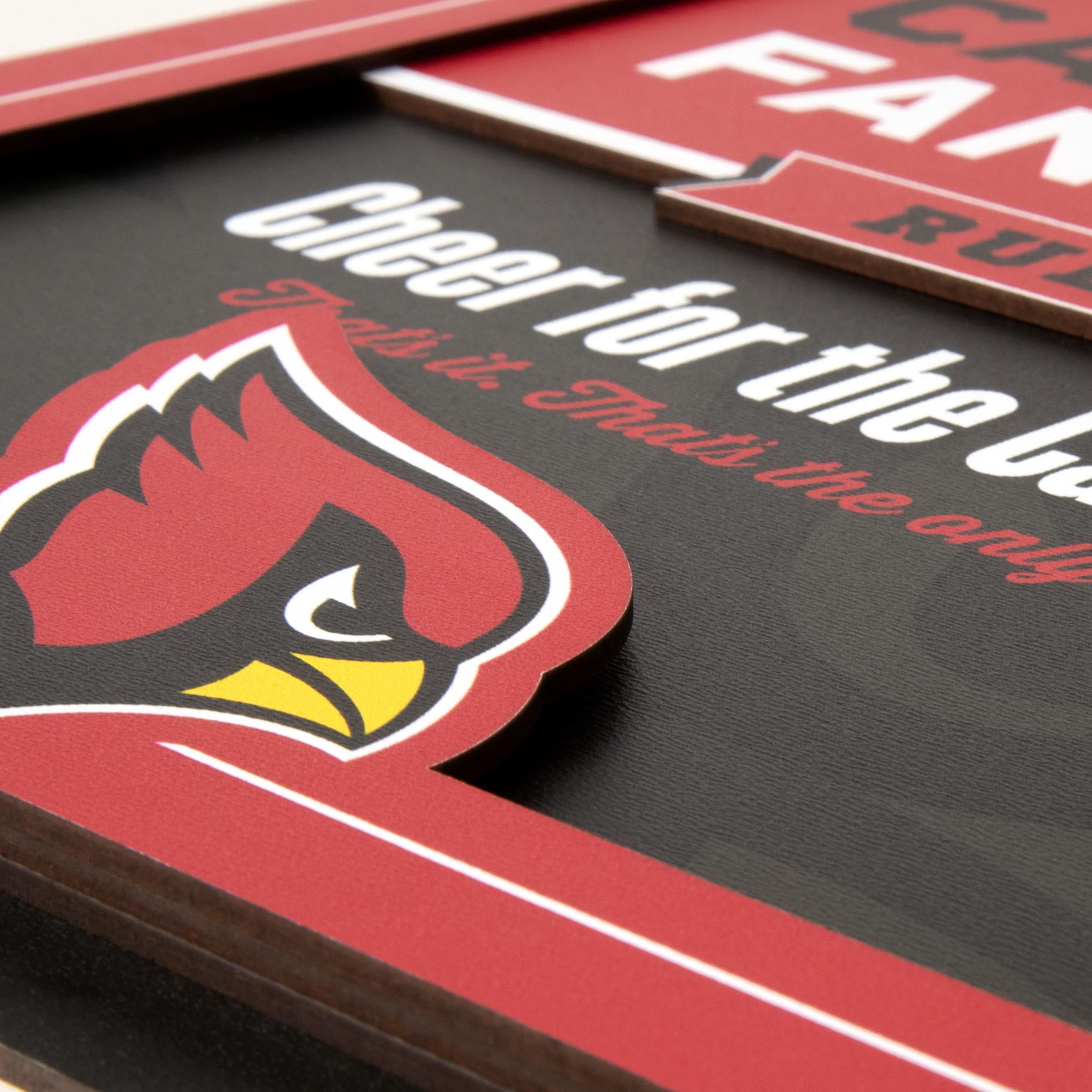 YouTheFan NFL Arizona Cardinals Fan Rules 3D Wall Art