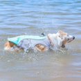 thumbnail image 2 of (M-blue) Dog Cooling Vest - Adjustable Cooling Vest for Small, Medium and Large Dogs - Cooling and Absorbent Coat Clothes for Dogs for Sports, Summer, 2 of 5