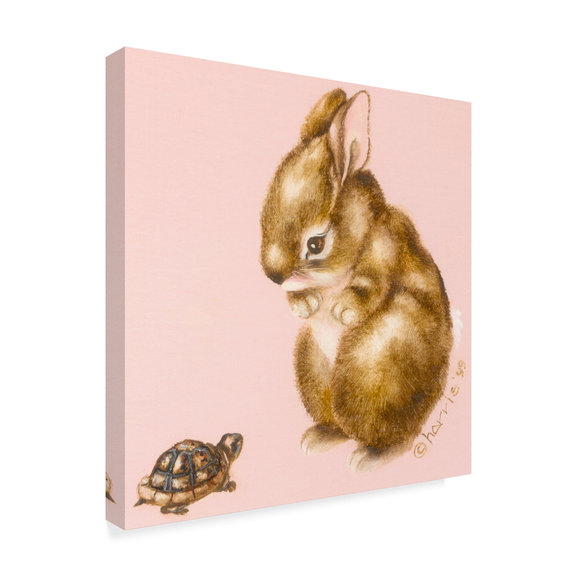 Trademark Fine Art 'Bunny And Turtle' Canvas Art by Peggy Harris