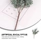 thumbnail image 5 of 3 tallos de eucalipto artificiales, hojas de eucalipto artificiales, suministros para arreglos florales., 5 of 6
