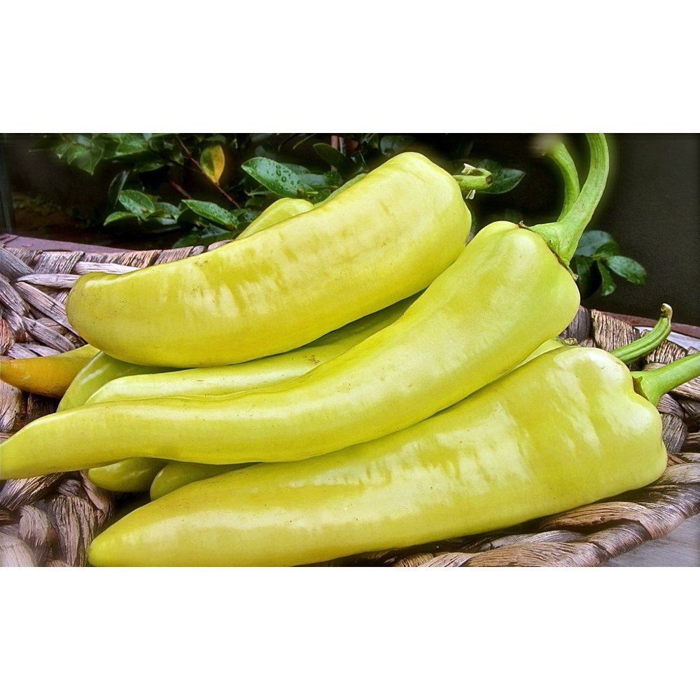 Super Banana Supreme Pepper Plant 3.5" Pot