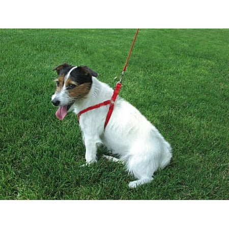 UPC: 0076484064586 | 6445 5/8  ADJUSTABLE STEP-IN HARNESS  26  RED