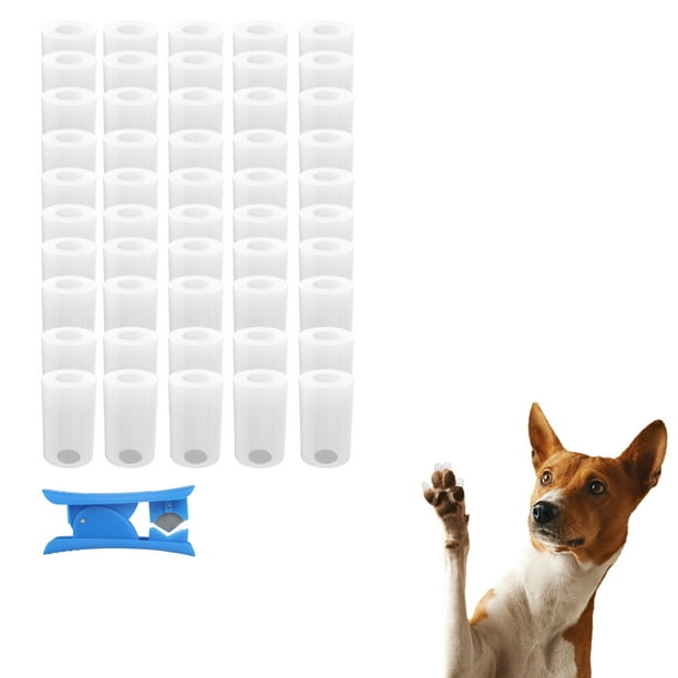 Nail Grips for Dogs Instant Traction on Wood/Hardwood Floors Dog