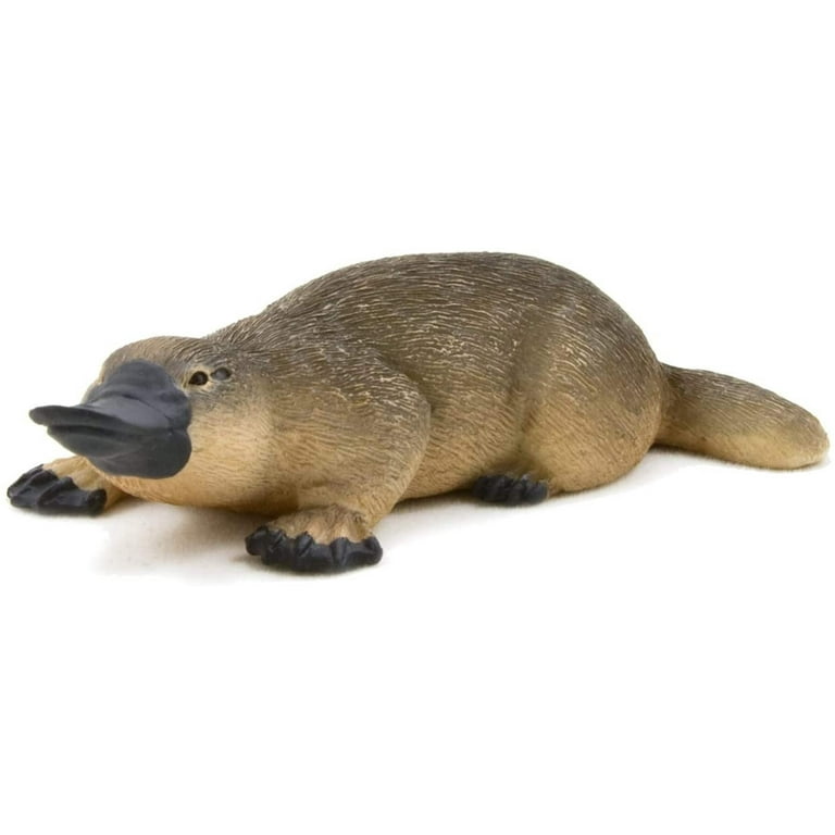 Teal Platypus | Blooket Wiki | Fandom