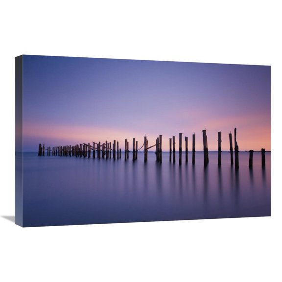 Global Gallery's 'Still Color' By Katherine Gendreau Stretched Canvas Wall Art