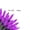Purple, variant on Pumpkin Luminaries for Halloween - 24 Pack Battery Operated LED Tea Light Bags, Tear Resistant Waterproof, Outdoor Indoor Party Decorations for Walkway Porch