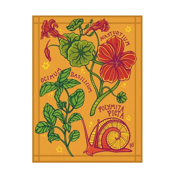 Canvas Wall Art - Rachel Feirman 'Garden Study' Wall Art for Living Room, Bedroom, or Office Décor by Trademark Fine Art - 14 x 19 Inches