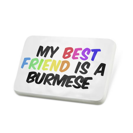 Porcelein Pin My best Friend a Burmese Cat from Burma and Thailand Lapel Badge –