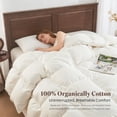 Year-round Queen (U.S. Standard) Goose Down Fiber Comforter Cotton ...