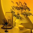 thumbnail image 3 of Sunset Lamp, Lights,FYBTO Rainbow Sunset Projection Lamp 16 RGB Color Changing Night Light 360 Degree Bracket For Self-Media Light FYBTO tic Wedding Birthday Party Bar Restaurant Photo, 3 of 5