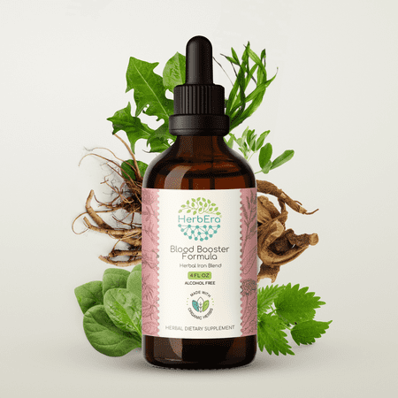 HerbEra Blood Booster Extract, Dietary Supplement Herbal Formula, Made from Stinging Nettle Leaf, Dandelion Leaf, Spinach, Spirulina, Alfalfa, Yellow Dock Root 4 oz