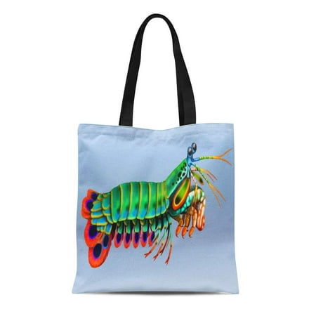 ASHLEIGH Canvas Tote Bag Crustaceans Peacock Mantis Shrimp Reef Aquarium Saltwater Stomatopods Odontodactylus Reusable Handbag Shoulder Grocery Shopping