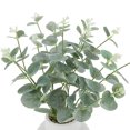 thumbnail image 4 of Anko Artificial Eucalyptus Stems in Vase, 4 of 5