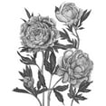 thumbnail image 2 of Wang, Melissa 15x18 Gold Ornate Wood Framed with Double Matting Museum Art Print Titled - Flowers in Grey V, 2 of 4