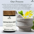 thumbnail image 2 of AKSHAR AYURVEDA Senna Leaf Lax Aid Capsules Laxative Stool Softener for Men and Women, 60 Count, 2 of 10