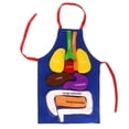 thumbnail image 1 of Delantal de órganos 3D, delantal de órganos del cuerpo humano, herramienta educativa de concienciación, juguete para niños, delantal de disfraz de anatomía, vísceras rellenas de felpa, 1 of 5