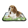thumbnail image 2 of PKQWTM Beautiful Spring Scenery Pet Dog Cat Bed Pee Pads Mat Cushion Potty Dogsblankets Crate Bed Kennel 14x18 inch, 2 of 3