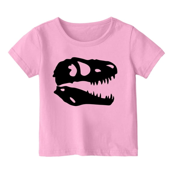 Baby Girl Summer Clothes Kids Toddler Girls Summer Cartoon Dinosaur Print Breathable Soft Short Sleeved Casual T Shirt Toddler T Shirts Pink 3 Years-4 Years