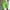 Green, variant on Aloohaidyvio Cargo Shorts for Men Big and Tall,Men's Golf ShortsLightweight Quick Dry Casual Dress Shorts Hiking Travel Shorts with Pockets