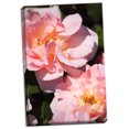thumbnail image 2 of Gango Home Decor Wild Roses II by Alan Hausenflock (Ready to Hang); One 24x36in Hand-Stretched Canvas, 2 of 4
