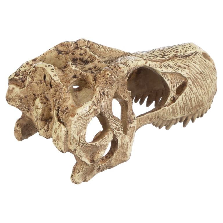 T-Rex Skull Resin Decoration – Dinosaur Skeleton Statue For Aquarium, Home Decor, Or Halloween