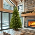 thumbnail image 2 of National Tree Company 10 ft Pre-Lit Dunhill Fir Full Artificial Christmas Tree, 1,200 LED Lights, 5,090 Tips, Foot Pedal, 10 Light Functions, Includes Stand, Green, 2 of 8