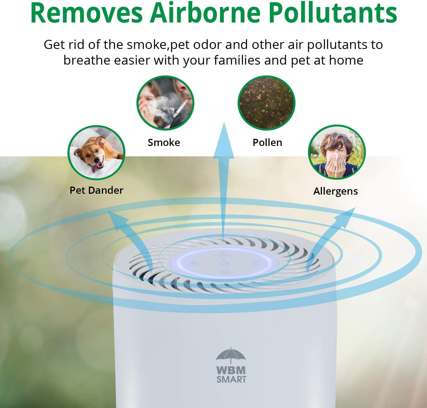 Air purifier get rid of smells deals