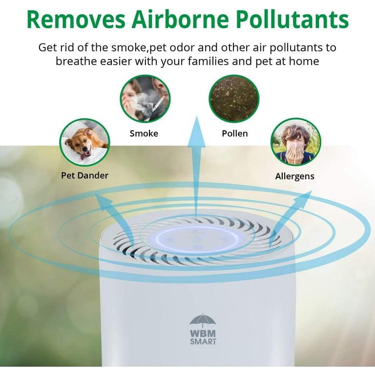 HUMSURE Air Purifiers for Home with HEPA 13 Filter, Large Air Purifier Up  to 1076 Sq.Ft, Remove 99.97% of Pet Hair Odor Dust Smoke Mold Pollen,  White, HKJ-200A 