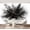 Color 2, variant on Wall Mural Peel and Stick Black powder explosion particles charcoal splash white Self-Adhesive Wallpaper Removable Wall Decal Wall Sticker Home Decor for Living Room Bedroom 69"x96"