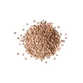 thumbnail image 4 of Organic Whole Red Lentils, 1 Pound — Non-GMO, Sproutable, Kosher, Raw, Vegan — by Food to Live, 4 of 8