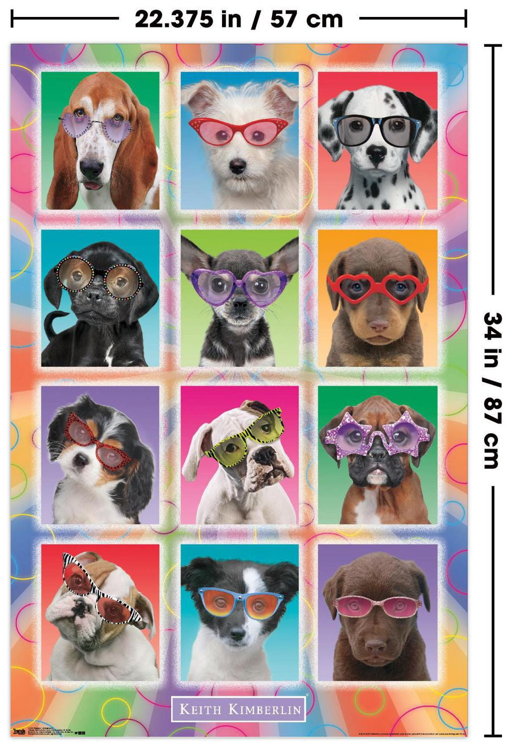 Keith Kimberlin - Chiots - Lunettes de soleil
