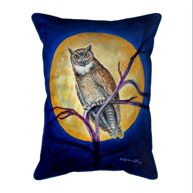 Betsy Drake SN1172 Hibou 11 x 14 Po en Oreiller Intérieur & Extérieur&44; Petit