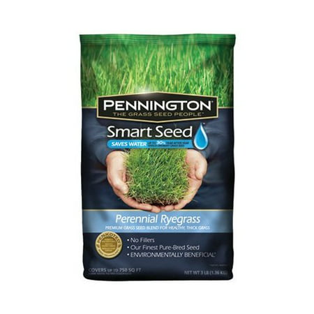 Pennington 100086853 Smart Seed Perennial Rye Blend Premium Grass Seed Mixture, 3-Pound, Requires Less Watering By Pennington (Best Perennial Grass Seed)