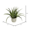 thumbnail image 2 of Vickerman FE181501 Pot Rond en Béton Vert Aloe 19.5 Po, 2 of 2