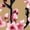 medium yellow, variant on adaychics Japanese Art T Shirts for Women Flower Crew Neck Fashion Casual T Shirts Summer Loose Fit Tops Daily Wear