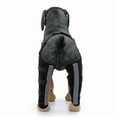 thumbnail image 3 of Double Rear Leg Protection Dog Knee Brace For Acl Knee Cap Dislocation Arthritis Keeps The Joint Warm Extra Support, 3 of 5