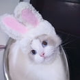 thumbnail image 1 of Gorra para gato, sombrero para mascotas, sombrero ligero para mascotas, disfraz de sombrero para mascotas, valor inmejorable, 1 of 5