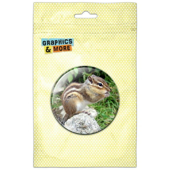 Chipmunk Eating on Rock Pinback Button Pin Badge