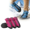 thumbnail image 2 of Xiangxiang Breathable Pet Shoes Perfectly Combining Fashion And Function Helping Pet Travel Without Burden And Providing Them With Unmatched Comfort. Dog Accessories for Large Dogs Barf Accessories, 2 of 3