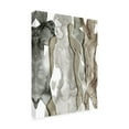 thumbnail image 2 of Trademark Fine Art 'Earth Women I' Canvas Art by Grace Popp, 2 of 4