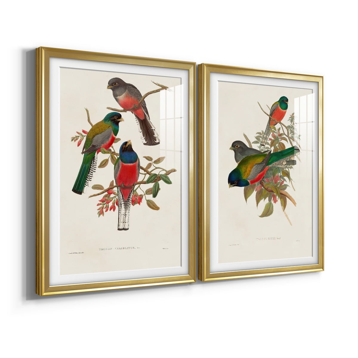 Wexford Home Elegant Trogons IX Premium Framed Print, 22.5" x 30.5" - Ready to Hang, Gold (Set of 2)
