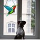 thumbnail image 4 of Teissuly Hummingbird Stained Glass Birds Window Hangings, Stained Glass Decorations,Bird Suncatcher for Window Decor Hummingbird Gifts for Mom,Bird Lovers Teissuly WER202309200683, 4 of 5