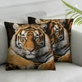 thumbnail image 2 of COMIO Tiger Print Pillow Cover for Sofa Couch Chair,Wild Animal Fur Single Pack Throw Pillow Case Cover,Photography Tiger Skin Print Luxury Cushion Cover Room Decor,2pc, 2 of 6