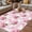 Pink LightPink, variant on Pink Roses Outdoor Rug for Patio/Deck/Porch, Non-Slip Large Area Rug 5 x 7 Ft, Valentine's Day Love Flowers Beige Rustic Indoor Outdoor Rugs Washable Area Rugs, Reversible Camping Rug Carpet Runner